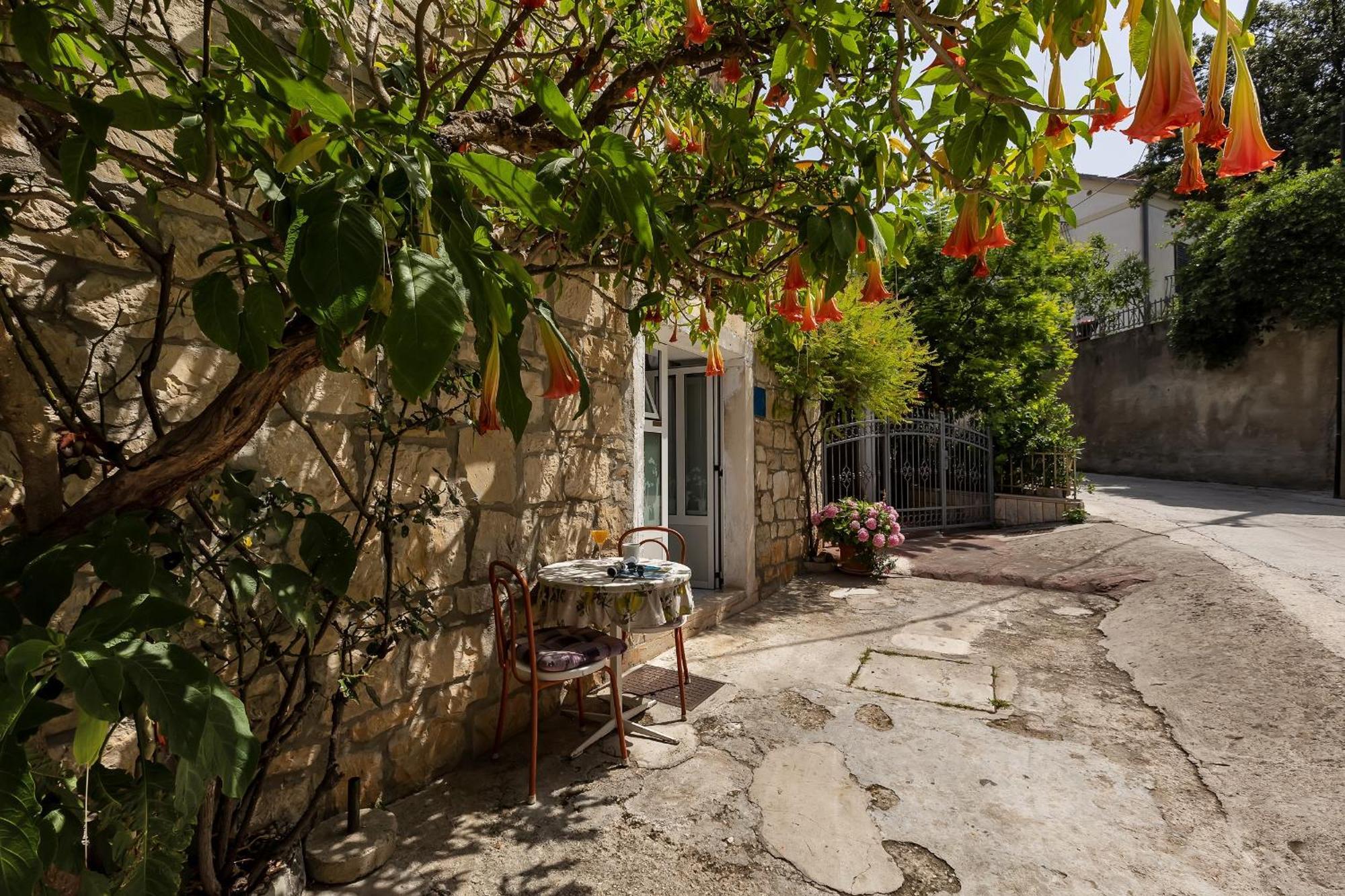 Kata Makarska
